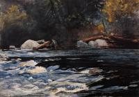 Homer, Winslow - The Rapids, Husdon River, Adirondacks